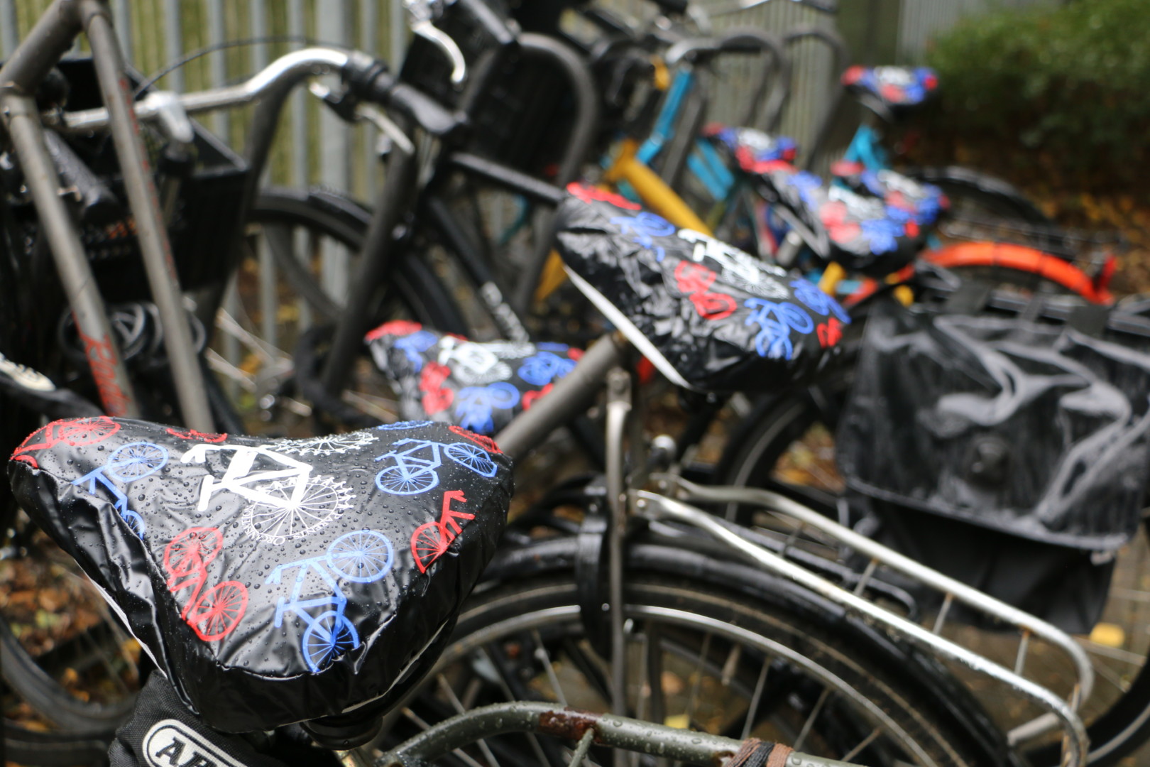 The British School of Amsterdam
