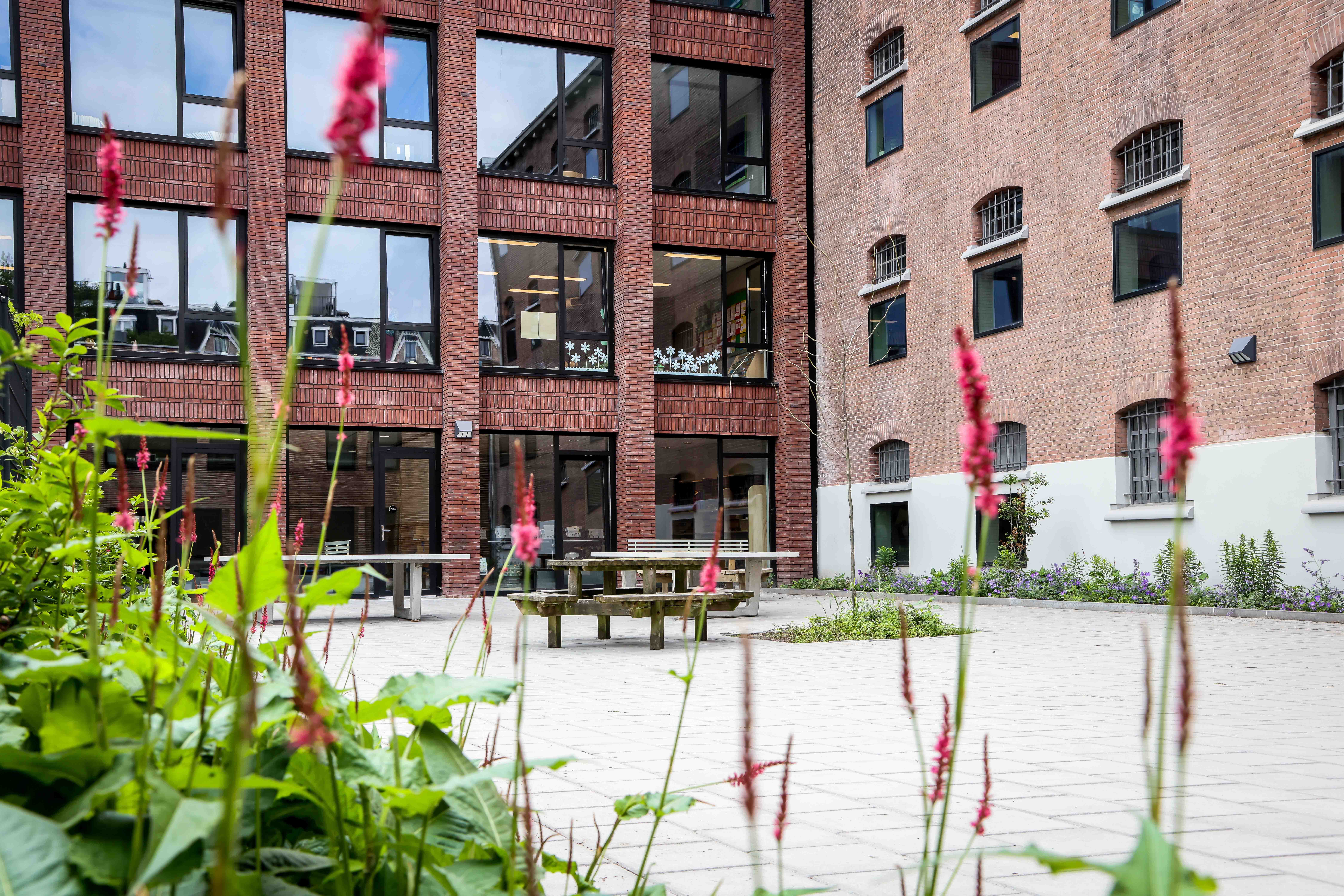 The British School of Amsterdam
